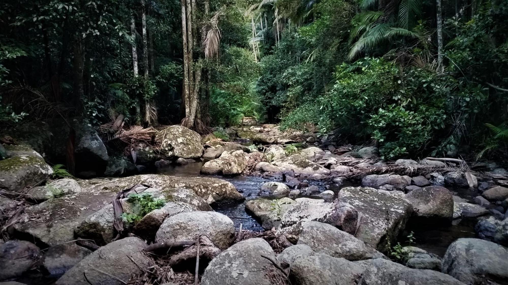 Bellthorpe Stays Maleny Exterior foto